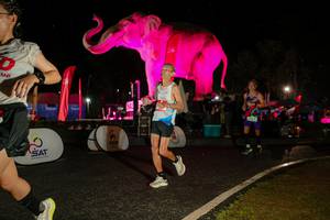 BIB: 
                            <button type="button" onclick="openModal(26534934)" class="btn btn-primary btn-sm float-right btn-popup" data-toggle="modal" data-target=".modal-high-quality">
                        <i class="fas fa-shopping-cart"></i> Add to Cart
                    </button>
                                            <button type="button" onclick="isThisMe(26534934, true)" class="btn btn-success btn-sm float-right btn-popup btn-isme hidden" data-toggle="tooltip" data-placement="bottom" title="นี่คือรูปของคุณใช่ไหม คลิกที่นี่เพื่อเอาเข้าอัลบั้ม">
                        <i class="fas fa-plus"></i> Add to album
                    </button>
                    <button type="button" onclick="isThisMe(26534934, false)" class="btn btn-warning btn-sm float-right btn-popup btn-isnotme hidden">
                        <i class="fas fa-ban"></i> Remove from album
                    </button>